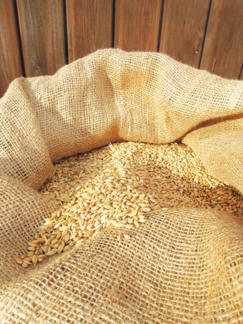 Kartoffelsack Jute Jutesack Pflanzsack Sack 61x104cm 230 g/m²